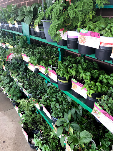 Pharmacy «Shoprite Of Orange», reviews and photos, 259 Bull Hill Ln, Orange, CT 06477, USA