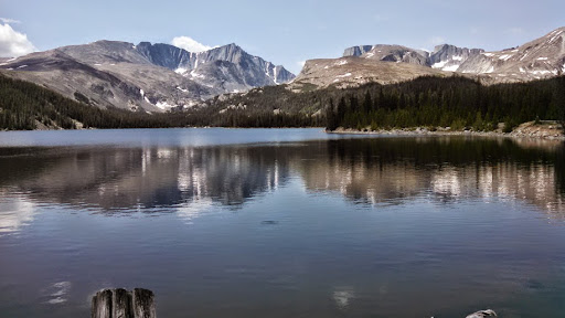 National Forest «Bighorn National Forest», reviews and photos