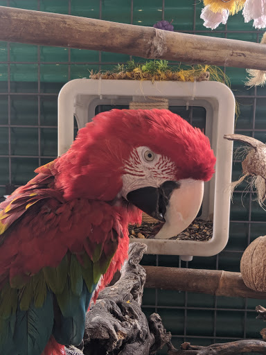 Pet Supply Store «Animal Kingdom of Santa Monica», reviews and photos, 300 Pico Blvd, Santa Monica, CA 90405, USA