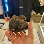 Photo n°11 de l'avis de Robert. fait le 24/04/2023 à 20:23 sur le  Tartufi&Friends à Rome