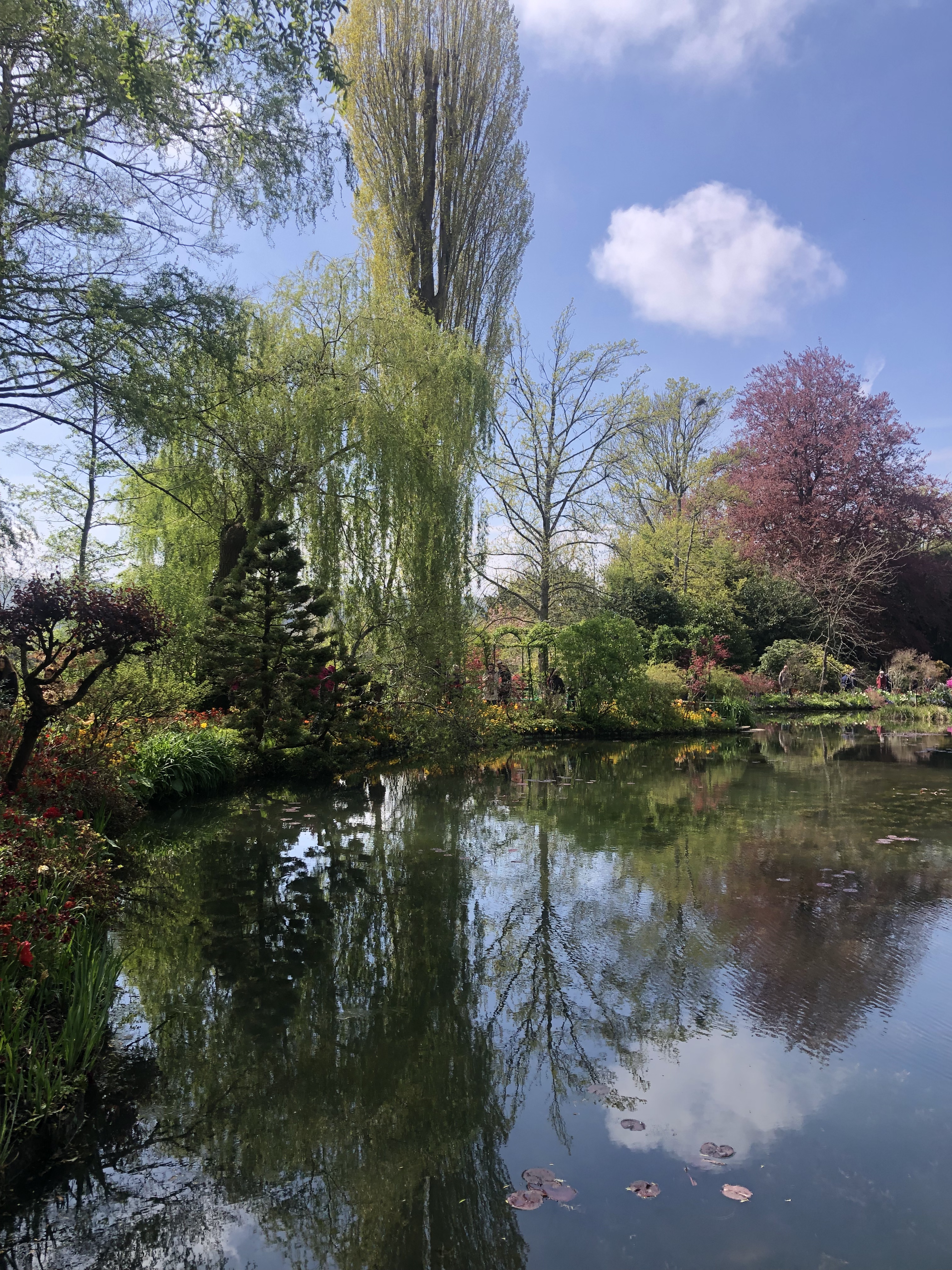 Photo n° 5 de l'avis de Maryam. fait le 23/04/2023 à 21:03