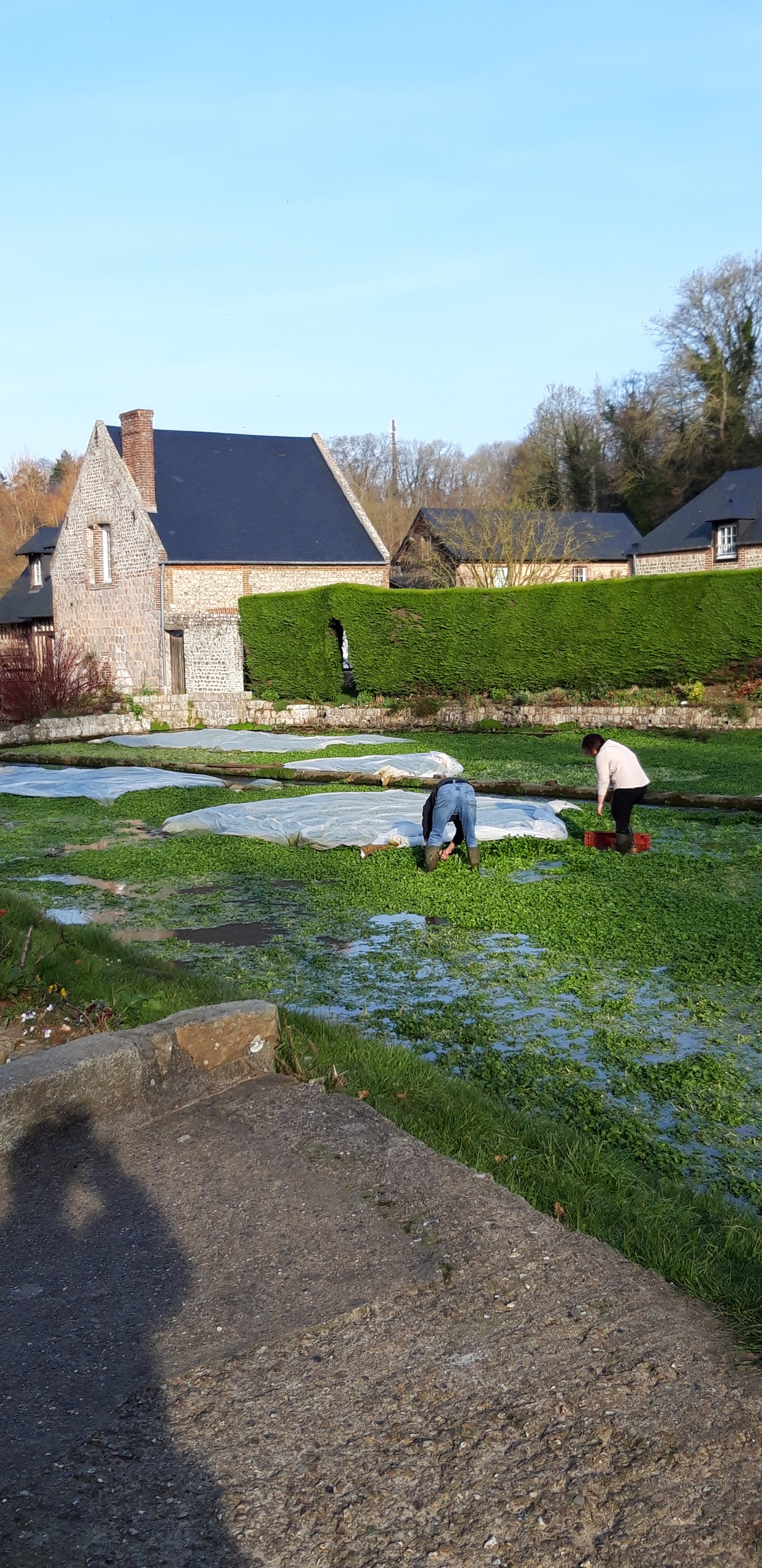 Photo n° 1 de l'avis de Catherine.e fait le 17/02/2019 à 15:46