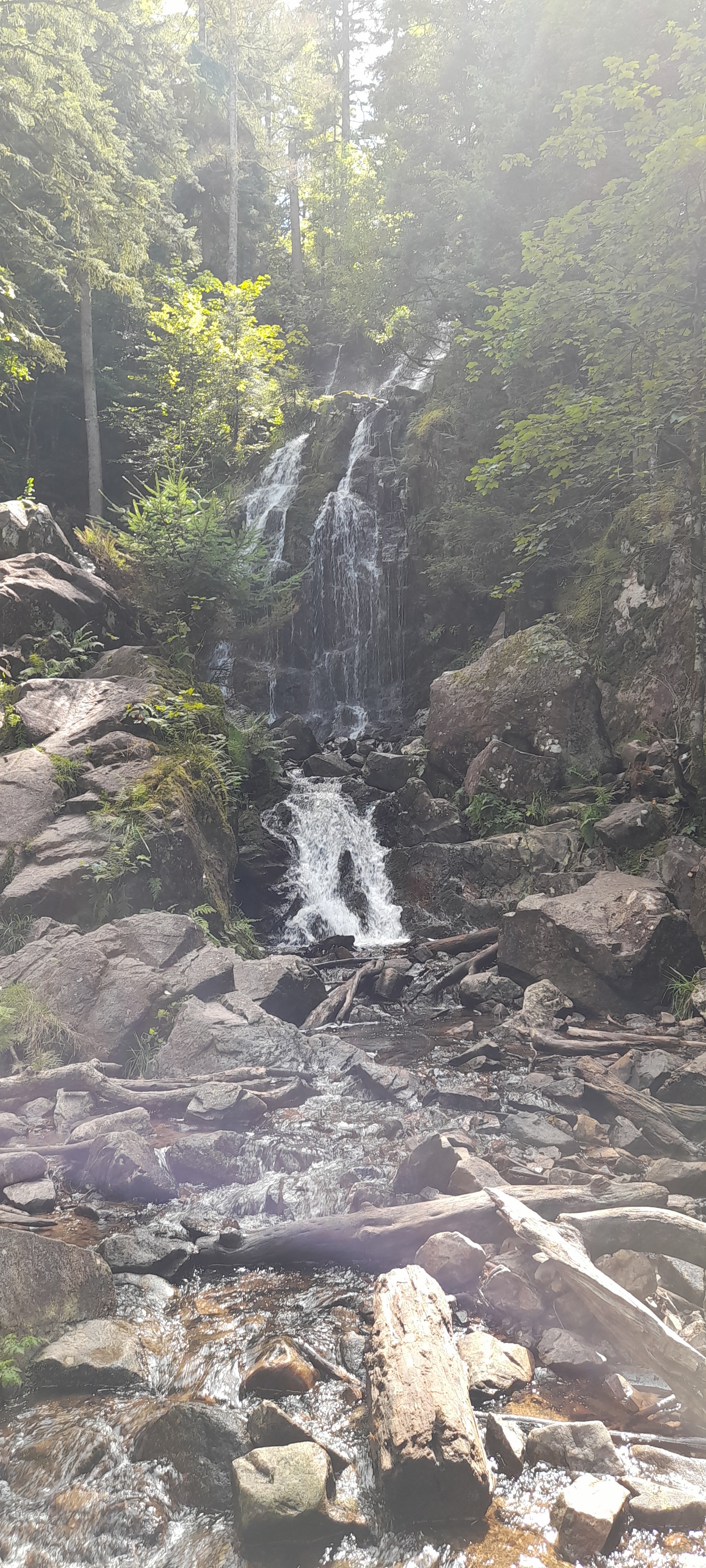 Photo n° 4 de l'avis de Philippe.e fait le 10/08/2021 à 15:47