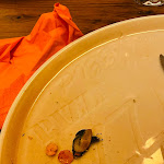 Photo n°3 de l'avis de Holly.o fait le 27/11/2022 à 19:21 sur le  Pizzeria Belmondo à Hamburg