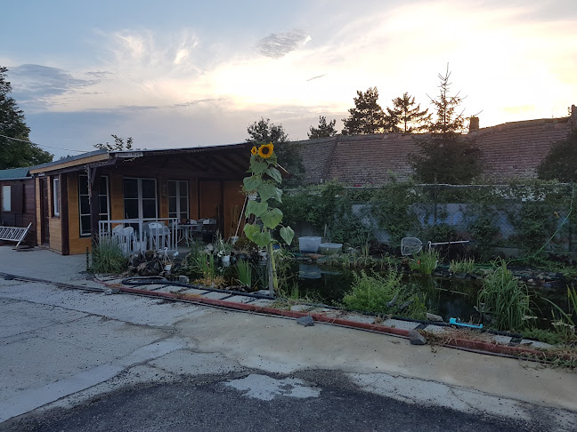 Opinii despre Rácz R Service Kft. în Harka - Autószerelő