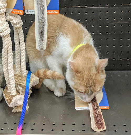 Pet Supply Store «Petco Animal Supplies», reviews and photos, 12444 NW 10th St #301, Yukon, OK 73099, USA