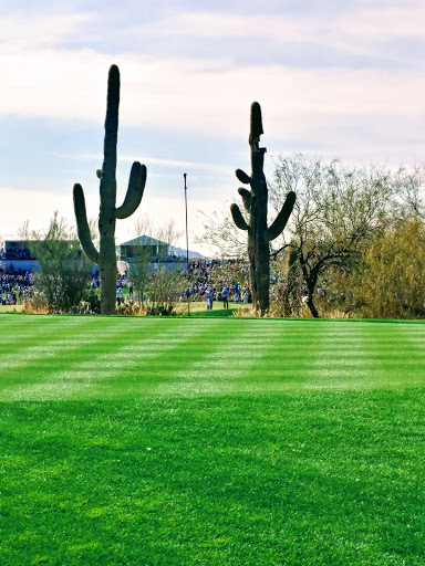 Golf Course «TPC Scottsdale», reviews and photos, 17020 N Hayden Rd, Scottsdale, AZ 85255, USA