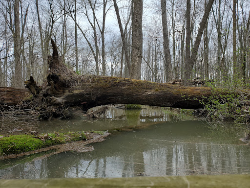 Nature Preserve «Beanblossom Bottoms Nature Preserve - Sycamore Land Trust», reviews and photos, N Woodall Rd, Ellettsville, IN 47429, USA