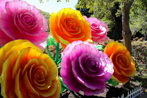 Gilroy Gardens Family Theme Park image