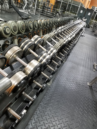 Gym «Powerhouse Gym», reviews and photos, 1298 W Bagley Rd, Berea, OH 44017, USA