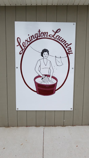 Laundromat «Lexington Laundry Inc», reviews and photos, 5432 Main St, Lexington, MI 48450, USA