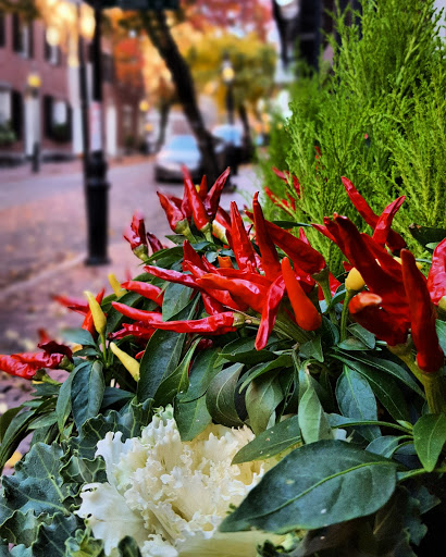 Mortgage Broker «Goldcoast Mortgage Service, Inc», reviews and photos