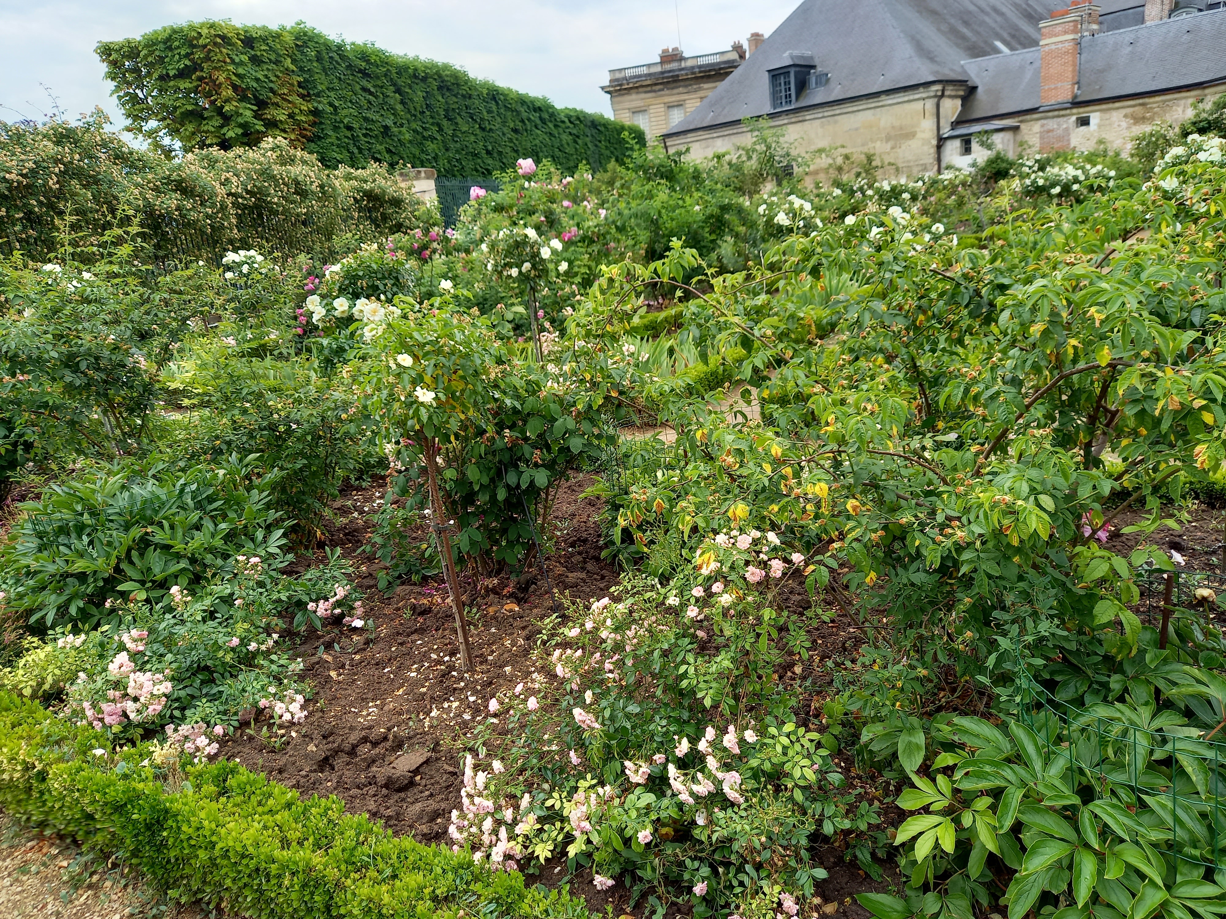 Photo n° 9 de l'avis de helene.a fait le 18/06/2023 à 13:16