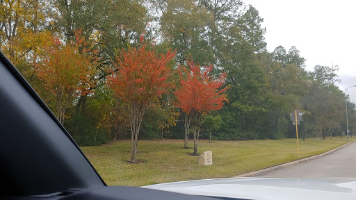 Golf Club «Longwood Golf Club», reviews and photos, 13300 Longwood Trace Dr, Cypress, TX 77429, USA