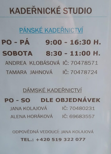 Recenze na Kadeřnické studio - pánské, dámské v Břeclav - Kadeřnictví