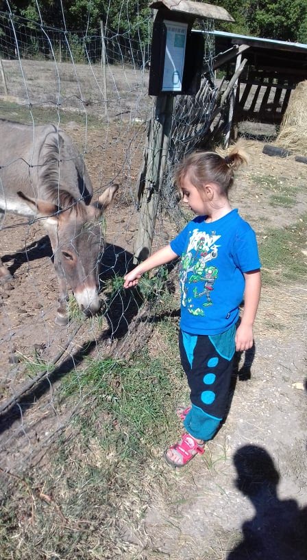 Photo n° 6 de l'avis de lusignan.n fait le 26/10/2018 à 04:59