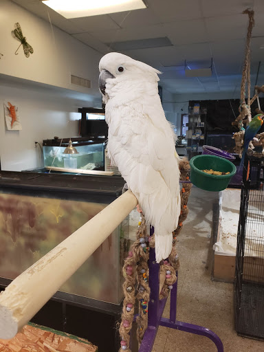 Pet Store «Off The Hook Exotics Pet Shop», reviews and photos, 926 5th Ave, Coraopolis, PA 15108, USA