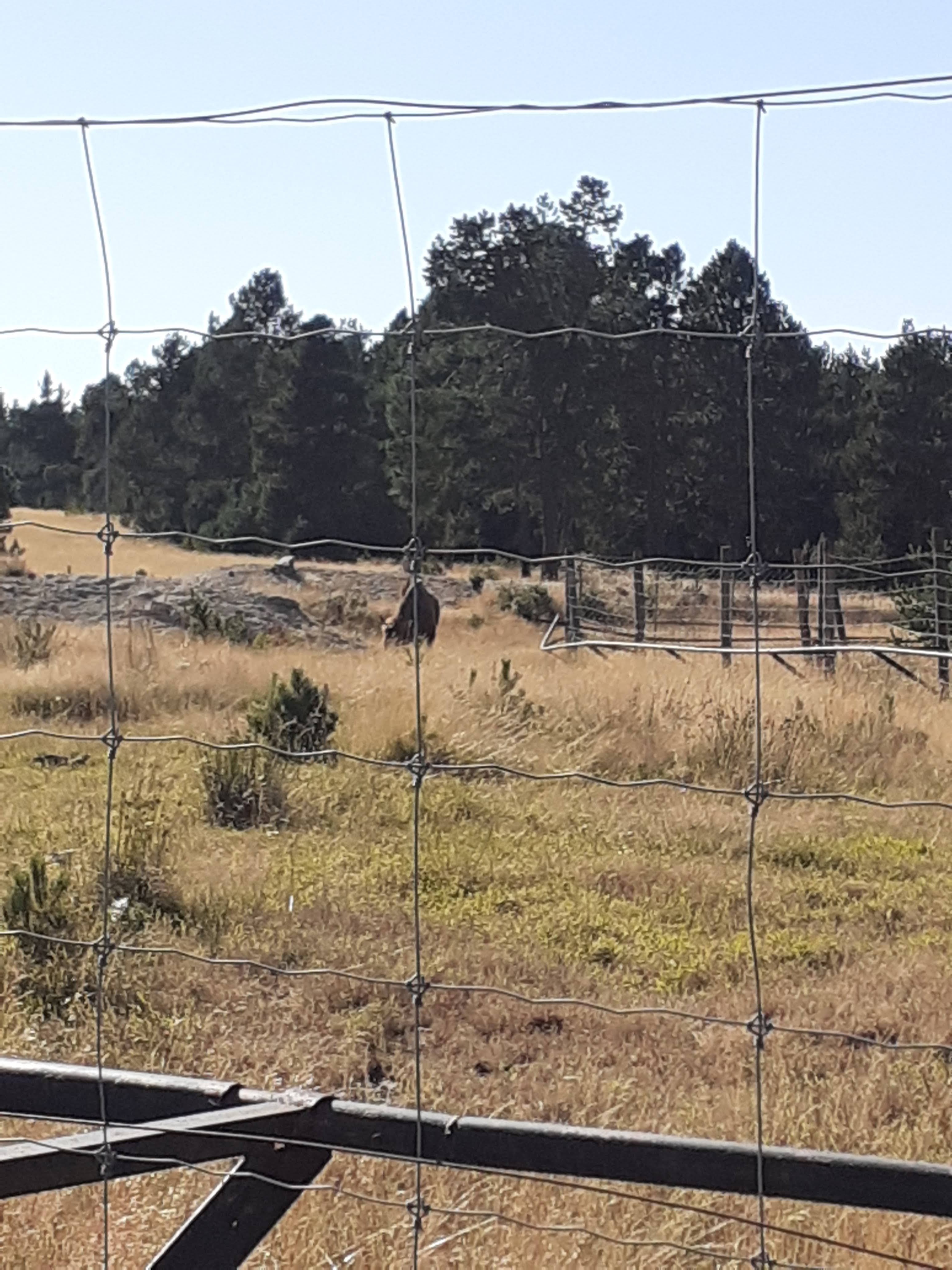 Photo n° 3 de l'avis de Pierre.h fait le 15/08/2023 à 12:20