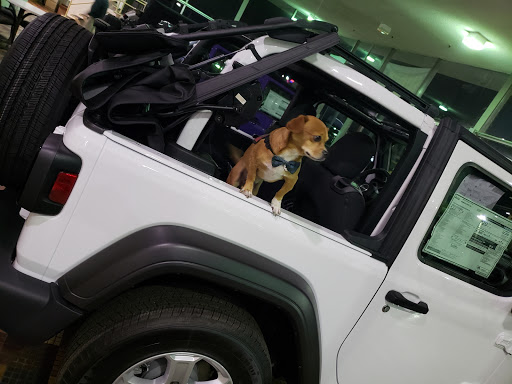 Car Dealer «Hanlees Chrysler Dodge Jeep Ram of Napa», reviews and photos, 333 Soscol Ave, Napa, CA 94559, USA