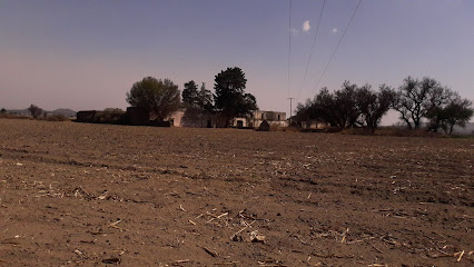 Rancho Xaltenco