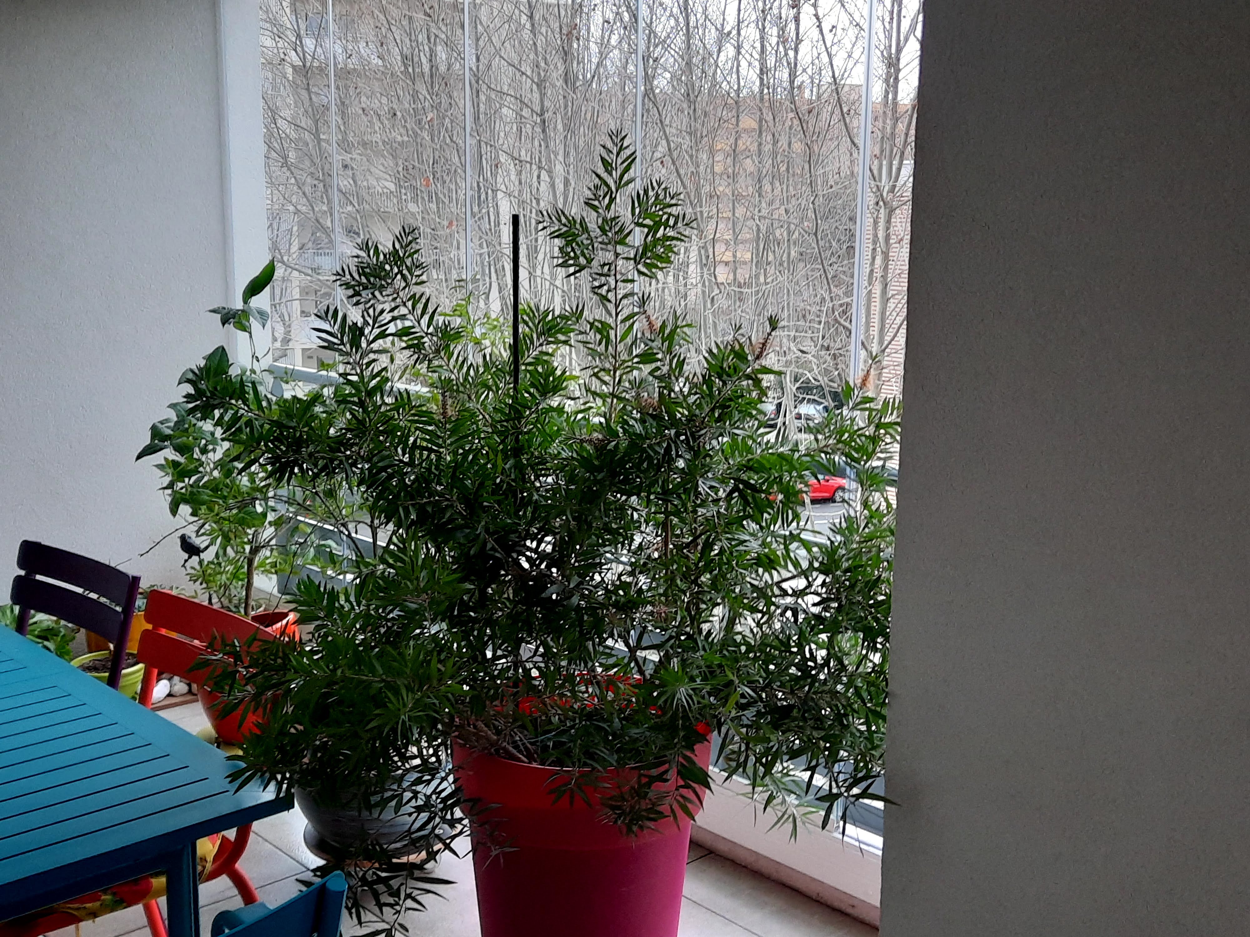 Photo n° 2 de l'avis de Jean-Jacques.I fait le 25/01/2021 à 17:22
