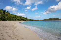 Photo de Hawksnest beach et ses beaux paysages