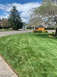 Daniel V Landscaping - Car repair in , Hillsboro - Rated 4.9/5