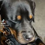 Photo n°1 de l'avis de Simone.g fait le 11/11/2023 à 23:37 sur le  Pizzeria Ostiense à Rome