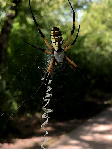 Park «Town Center Park», reviews and photos, 356 E Tripp Rd, Sunnyvale, TX 75182, USA