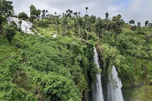Mount Elgon National Park image