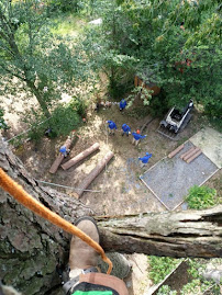 Amigos Landscaping SPC LLC - Photo 7 - Car repair in Richmond, VA, Richmond