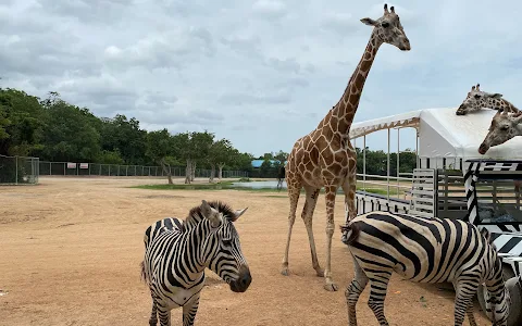 Safari Park Kanchanaburi image