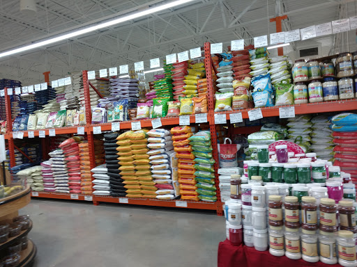Indian Grocery Store «India Bazaar», reviews and photos, 2151 S Edmonds Ln, Lewisville, TX 75067, USA