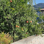 Photo n°4 de l'avis de Ralf.t fait le 12/10/2021 à 08:40 sur le  Borgo san Nazzaro à Riva del Garda