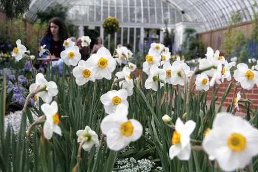 Botanical Garden «Phipps Conservatory and Botanical Gardens», reviews and photos, 1 Schenley Drive, Pittsburgh, PA 15213, USA