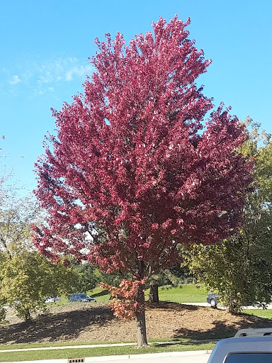 Park «Victoria Park», reviews and photos, 1100 Kingsdale Rd, Hoffman Estates, IL 60169, USA