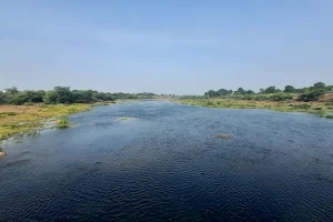 Panzara River image