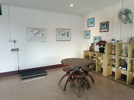 Dog&Cat Veterinary Clinic