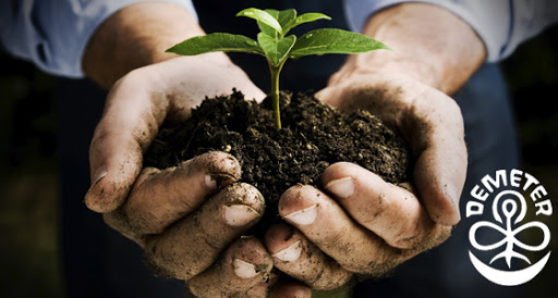 Wine Store «Birmingham Wine», reviews and photos, 588 N Old Woodward Ave, Birmingham, MI 48009, USA