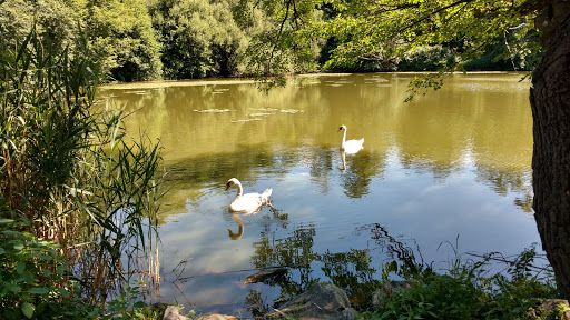 Park «Crocheron Park», reviews and photos, 214-41 34th Ave, Bayside, NY 11361, USA