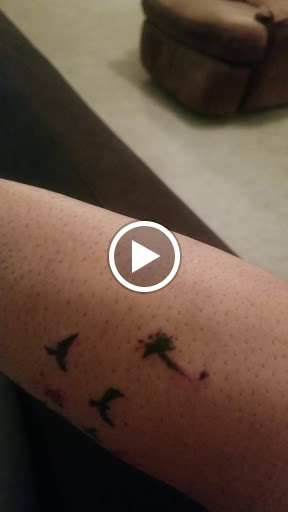 Tattoo Shop «Tattoo Addiction», reviews and photos, 2620 E Washington Ave, Madison, WI 53704, USA