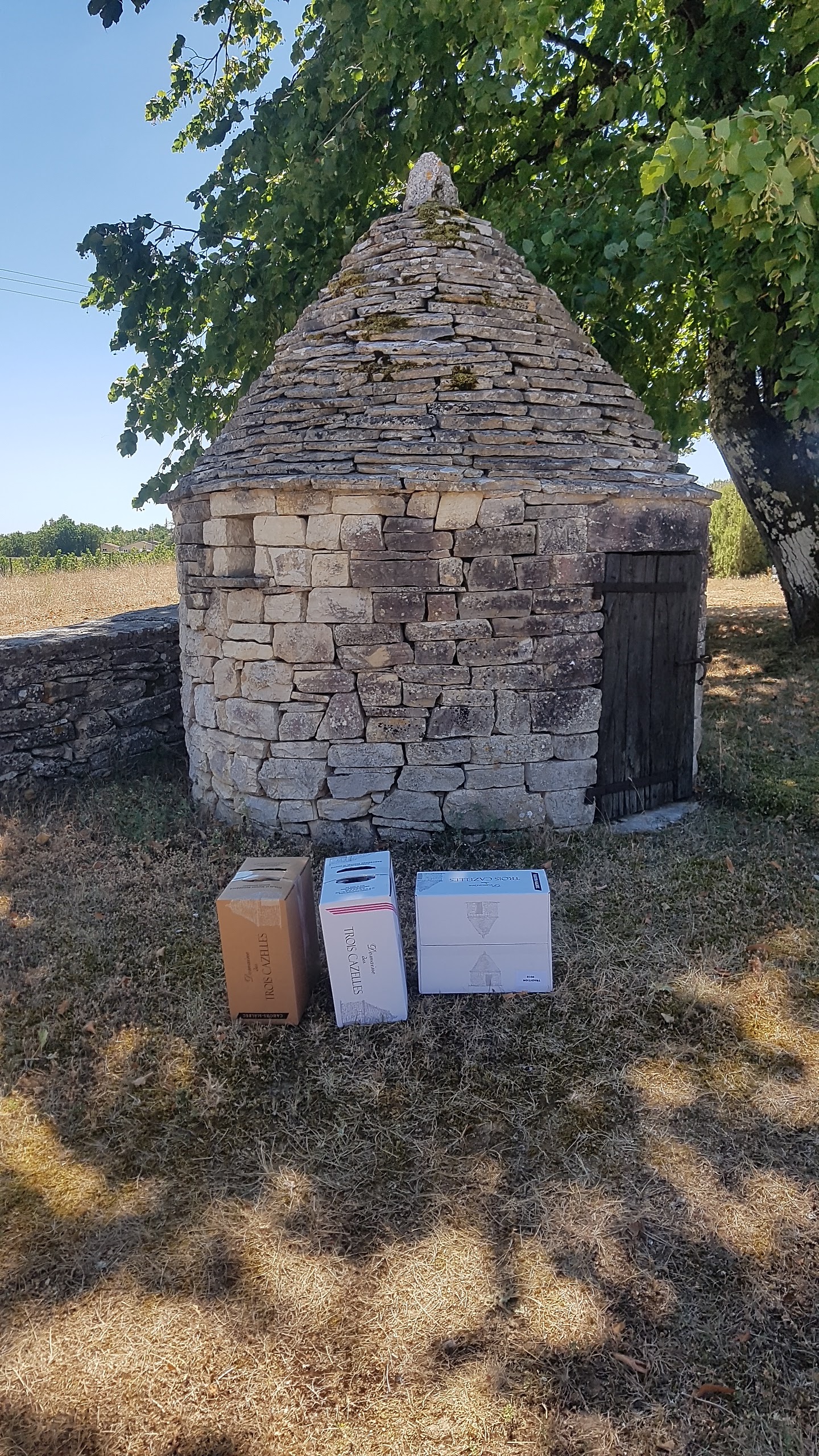 Photo n° 1 de l'avis de Adri.o fait le 30/07/2022 à 07:09