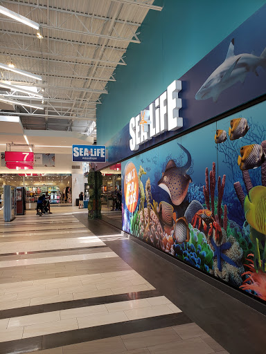 Aquarium «SEA LIFE Charlotte-Concord Aquarium», reviews and photos, 8111 Concord Mills Boulevard, Concord, NC 28027, USA