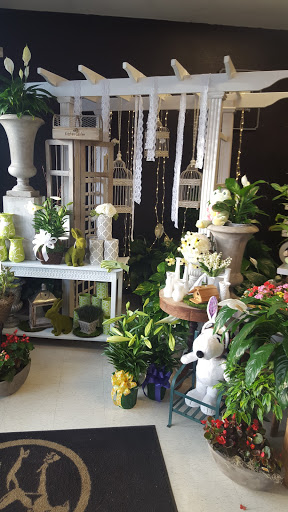 Bloomingdays Flower Shop