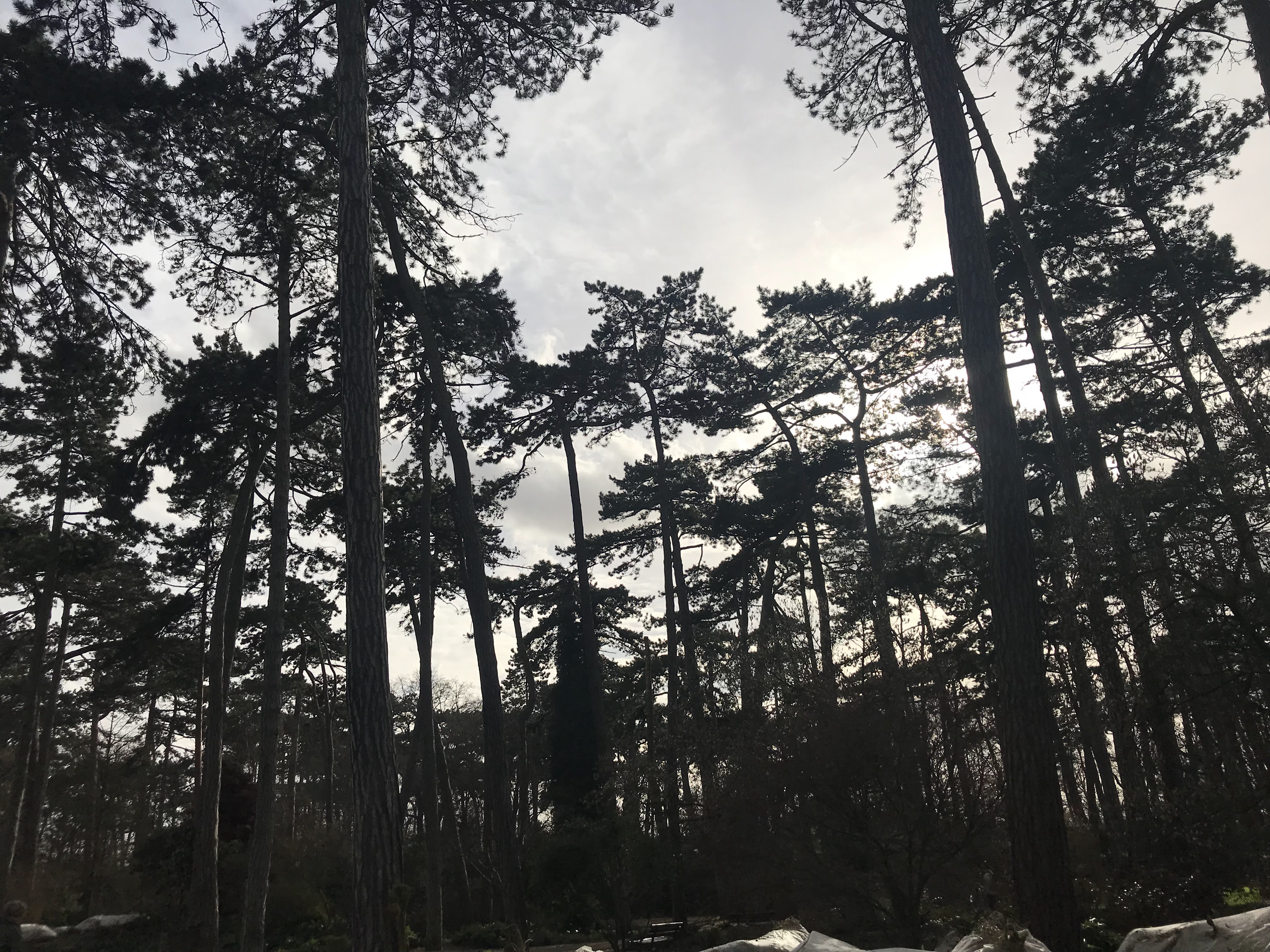 Photo n° 5 de l'avis de mihnea.n fait le 29/03/2019 à 17:57