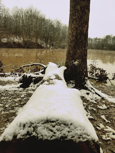 Hiking Area «Gold Branch Trail», reviews and photos, 6156 Lower Roswell Rd, Marietta, GA 30068, USA