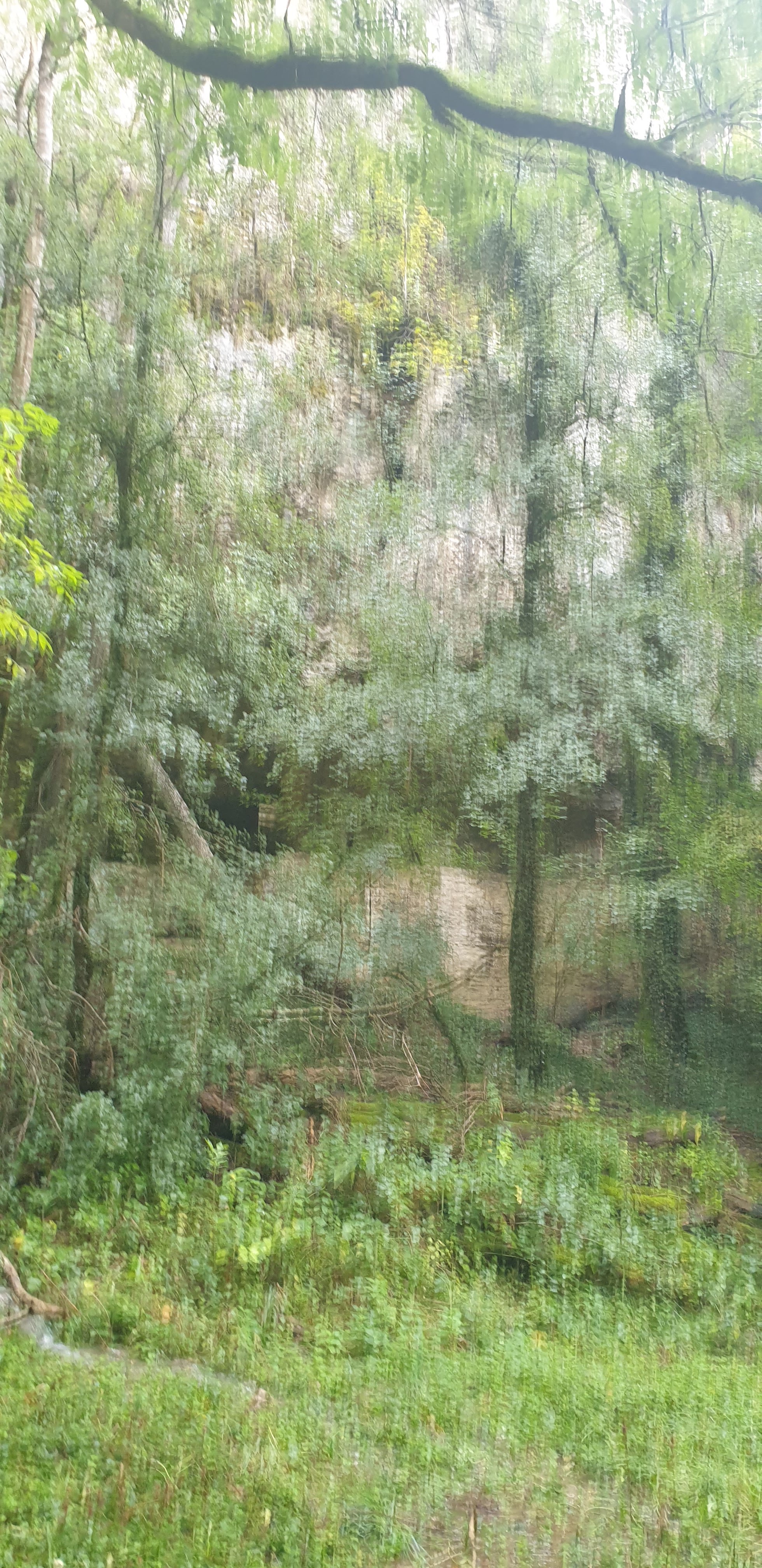 Photo n° 4 de l'avis de Sandrine.i fait le 04/10/2020 à 20:34