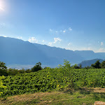 Photo n°4 de l'avis de Sebastian.e fait le 27/07/2022 à 14:08 sur le  Hotel - Restaurant Tenz à Montan