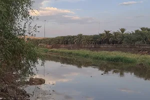 بحيرة البجع image