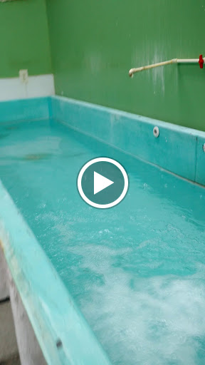 Asian Grocery Store «S mart Grocery Store», reviews and photos, 1901 Manchester Expy, Columbus, GA 31904, USA